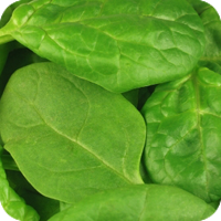 Healthy Food