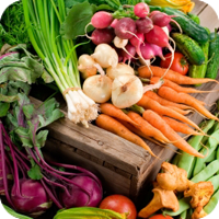 Organic_food.png